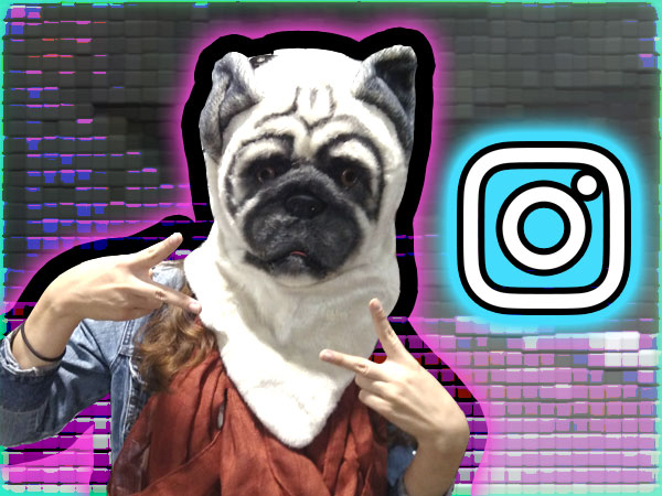 Top 6 Dog Instagram Accounts